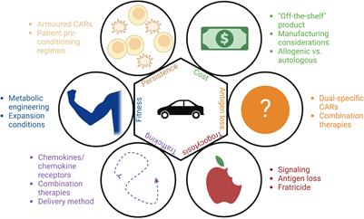Advancements in CAR-NK therapy: lessons to be learned from CAR-T therapy